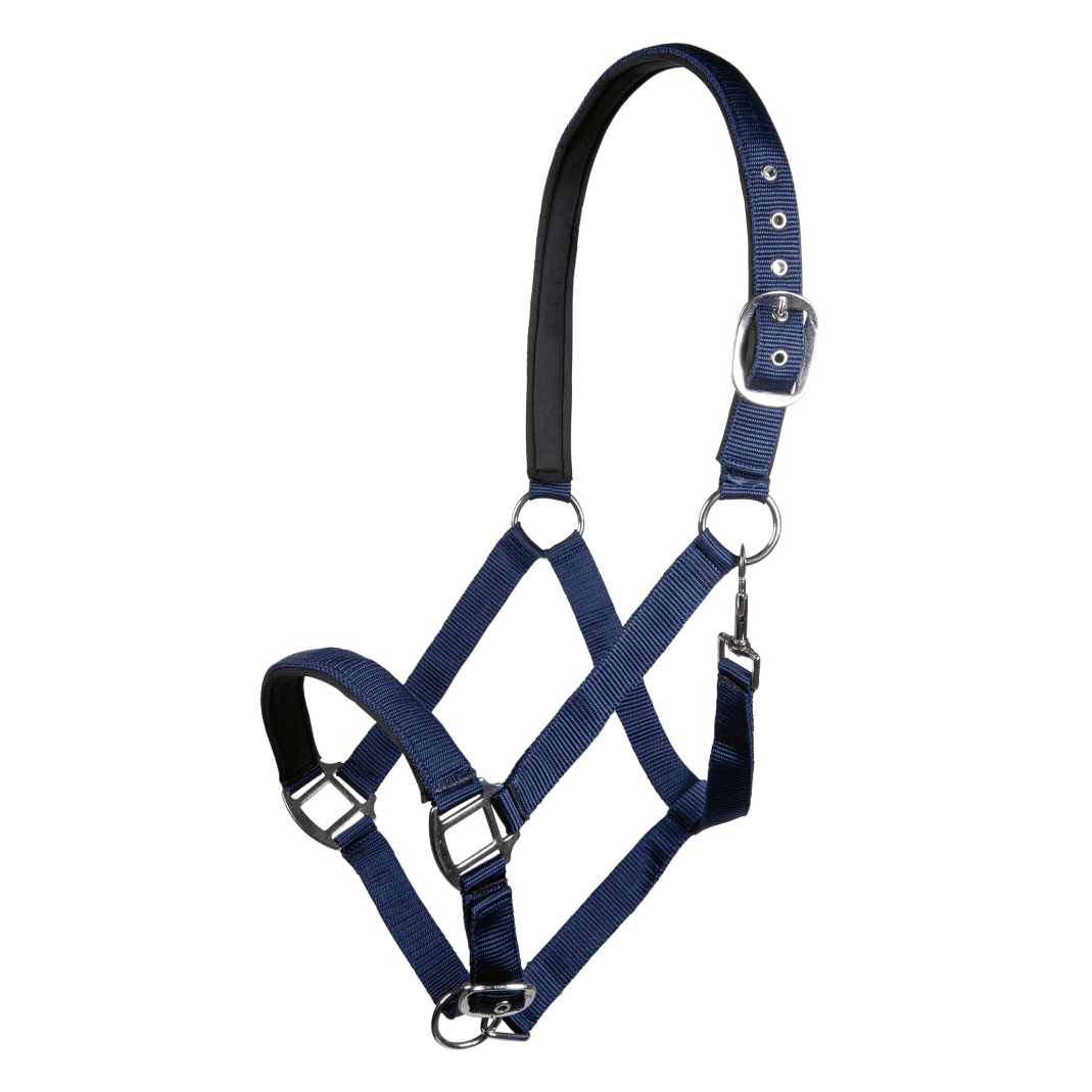 HKM Charming Head Collar