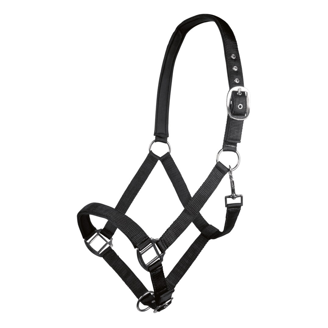 HKM Charming Head Collar
