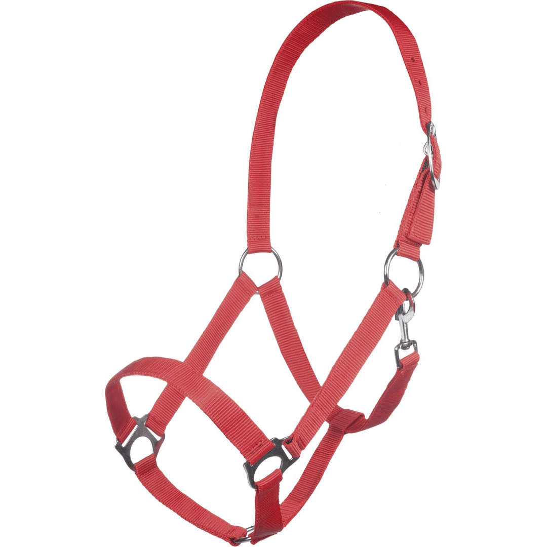 HKM Innsbruck Head Collar