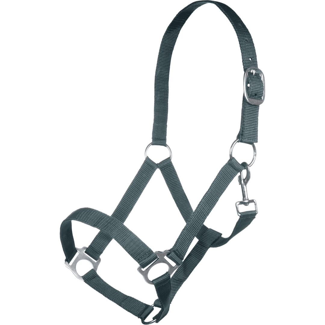 HKM Innsbruck Head Collar
