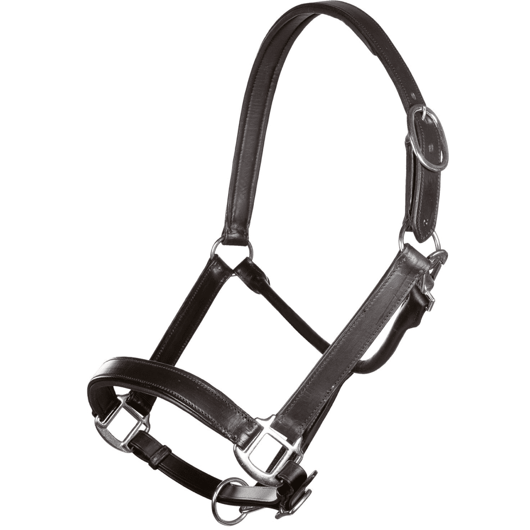 HKM Economic Leather Head Collar