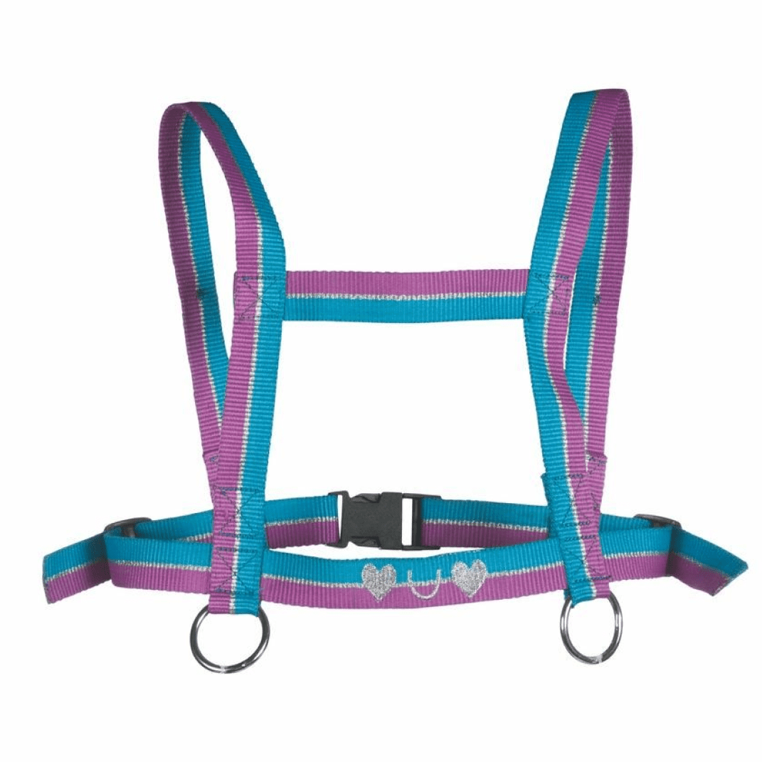 HKM Funny Horses Harness