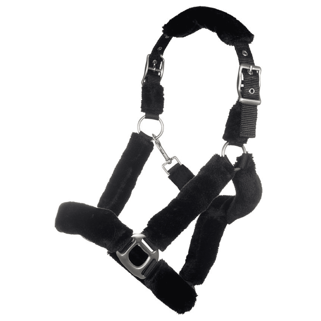 HKM Well Style Teddy Fur Head Collar