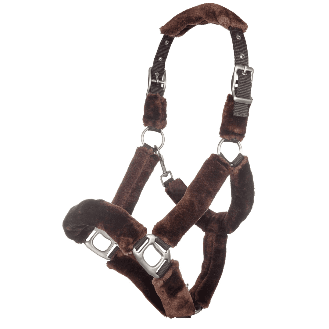 HKM Well Style Teddy Fur Head Collar