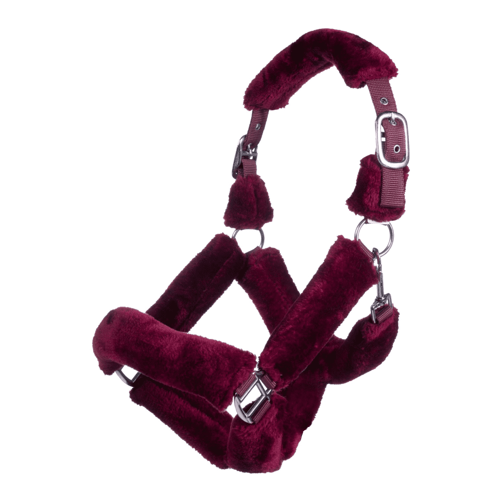 HKM Well Style Teddy Fur Head Collar