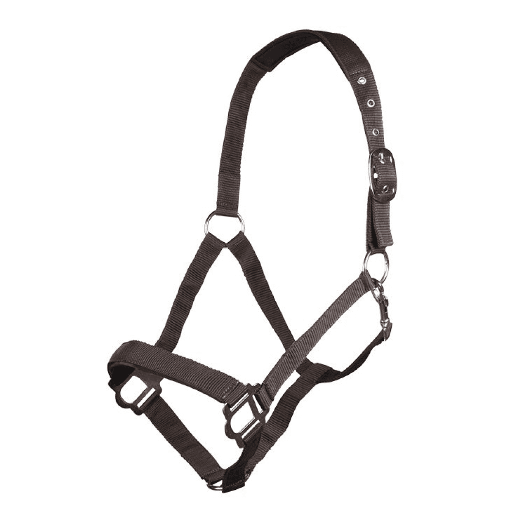 HKM Sydney Style Head Collar With Soft Padding