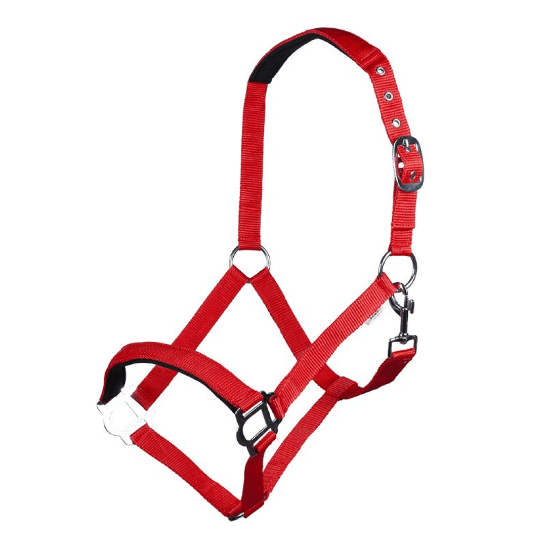 HKM Sydney Style Head Collar With Soft Padding
