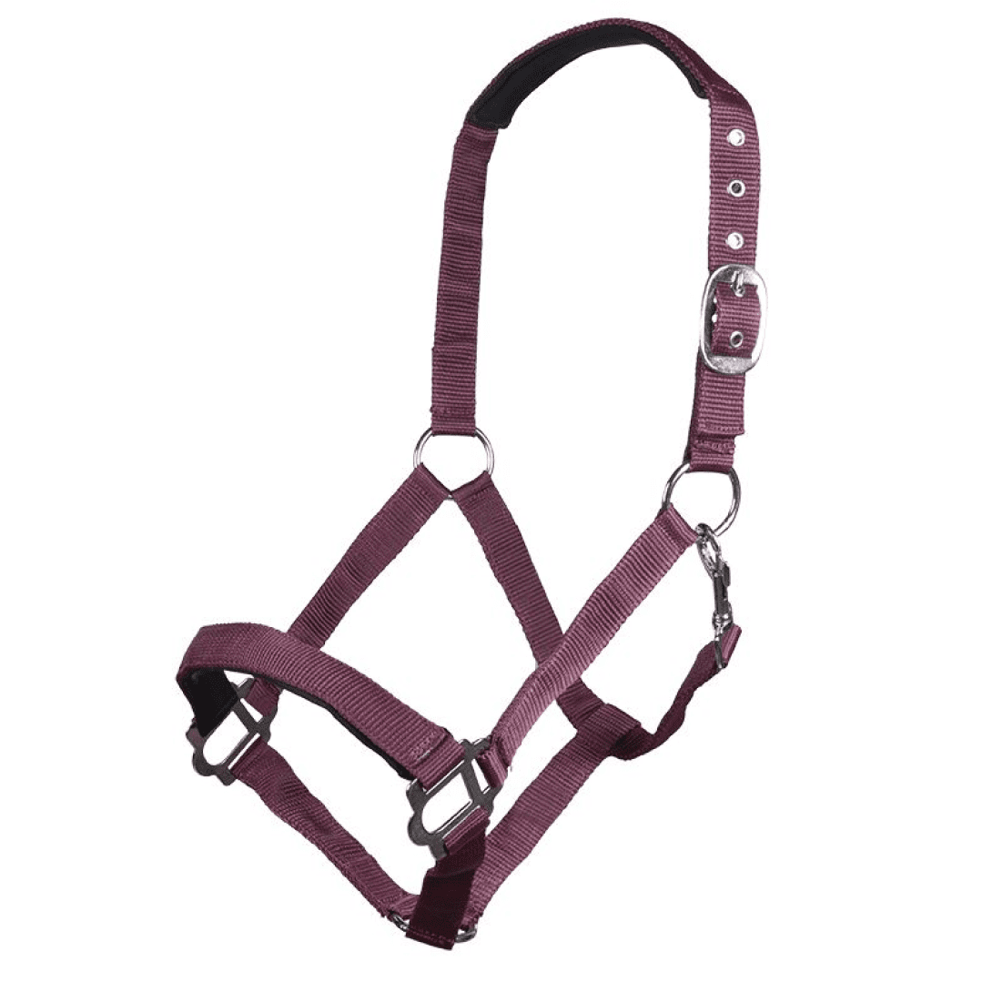 HKM Sydney Style Head Collar With Soft Padding