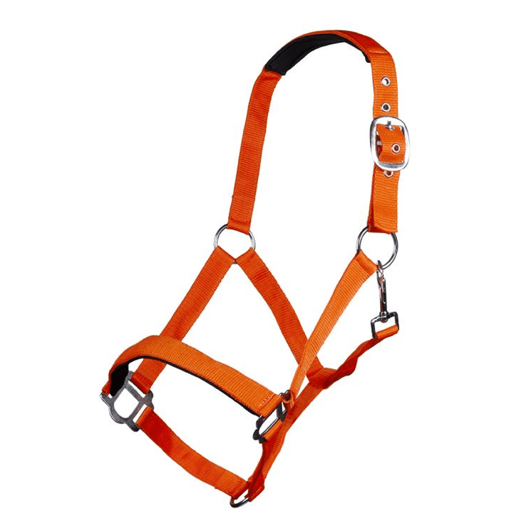 HKM Sydney Style Head Collar With Soft Padding