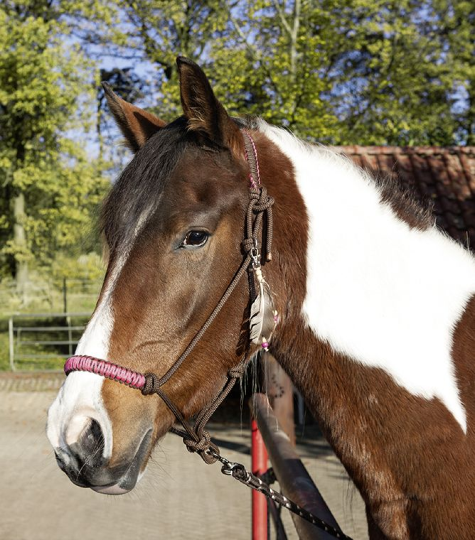 HKM Arizona Rope Halter