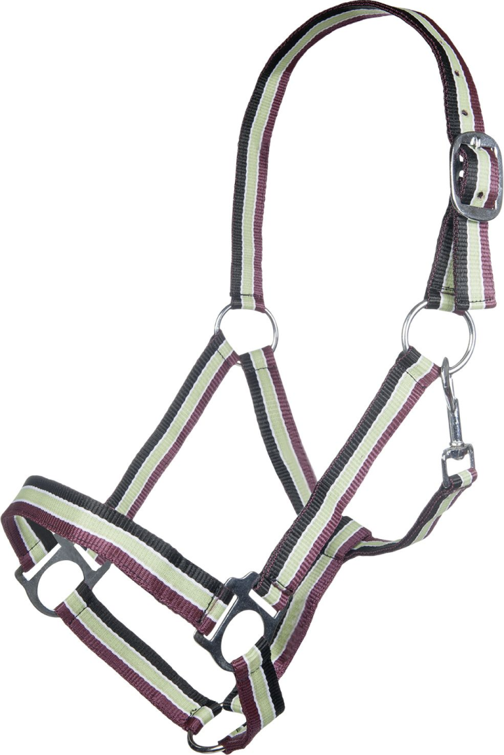 HKM Genf Head Collar