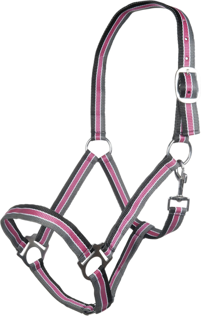 HKM Genf Head Collar