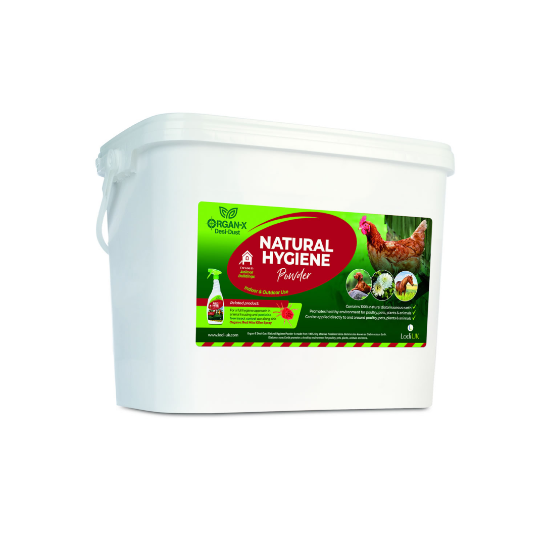 Lodi Organ-X Desi-Dust Natural Hygiene Powder
