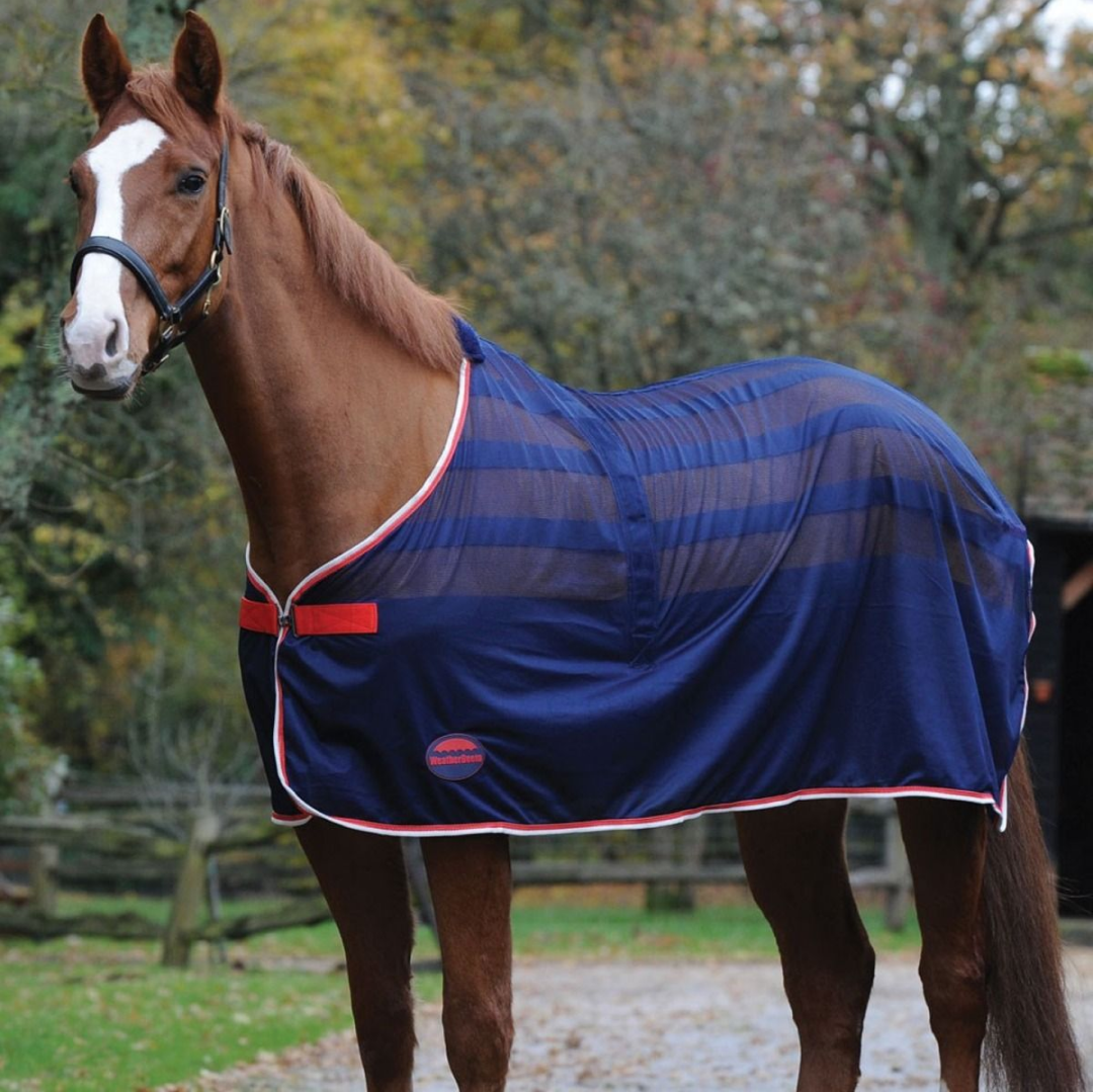 Weatherbeeta Scrim Cooler Standard Neck
