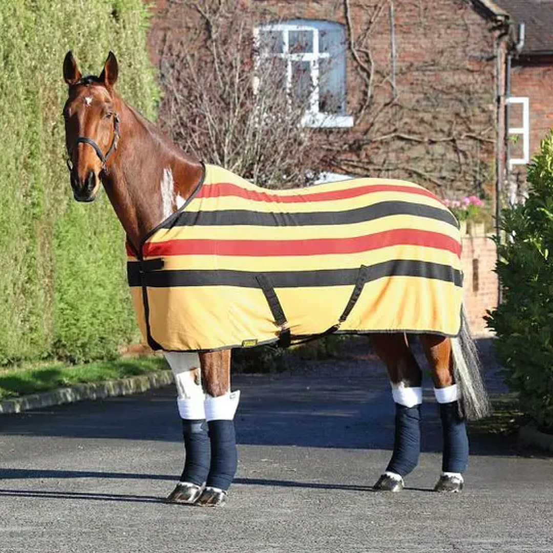 Shires Wessex Newmarket Fleece alfombra