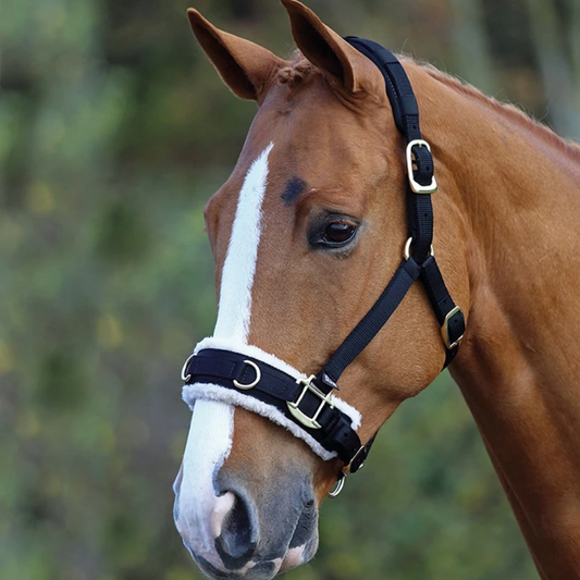 SHIRES FLEECE FORMA Cavesson