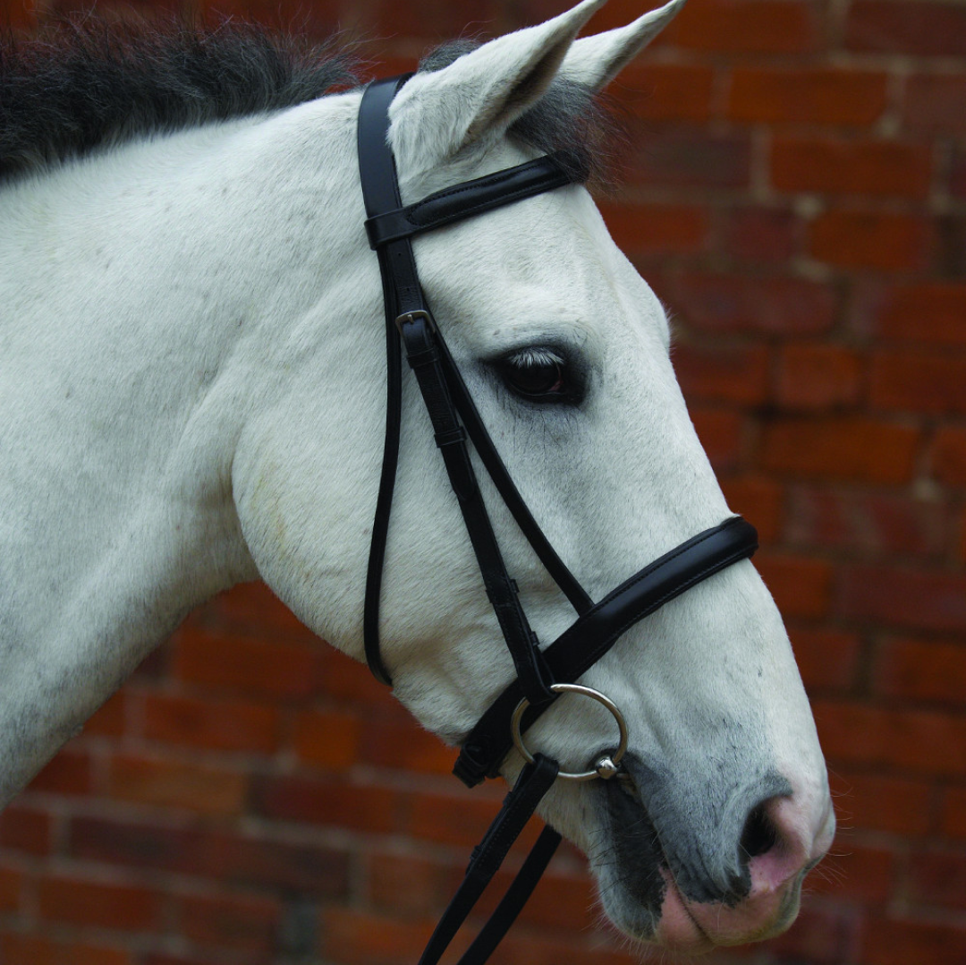 Hy Padded Cavesson Bridle with Rubber Grip Reins
