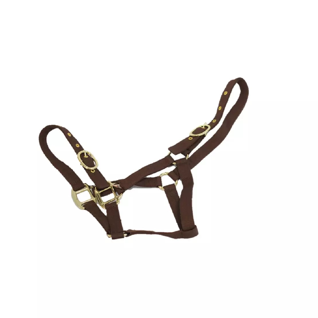 Mackey Equisential Nylon Headcollar