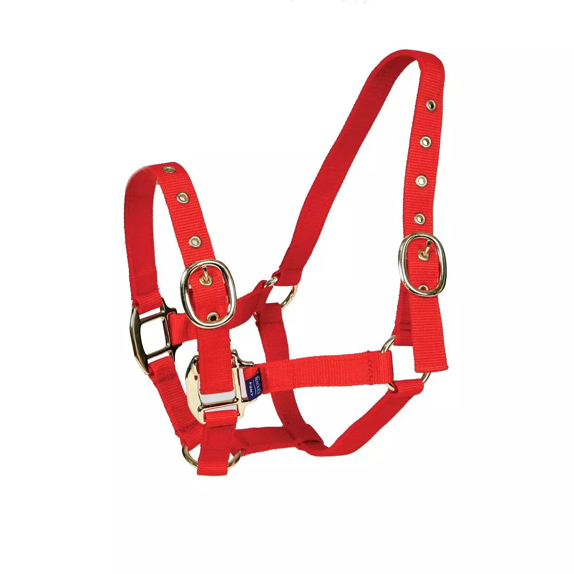 Mackey Equisential Nylon Headcollar