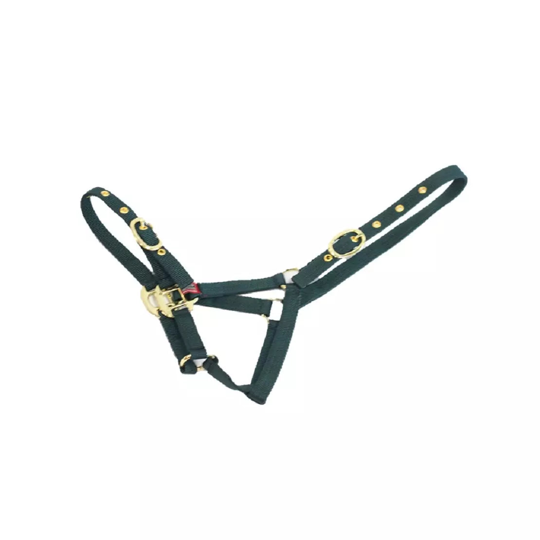 Mackey Equisential Nylon Headcollar