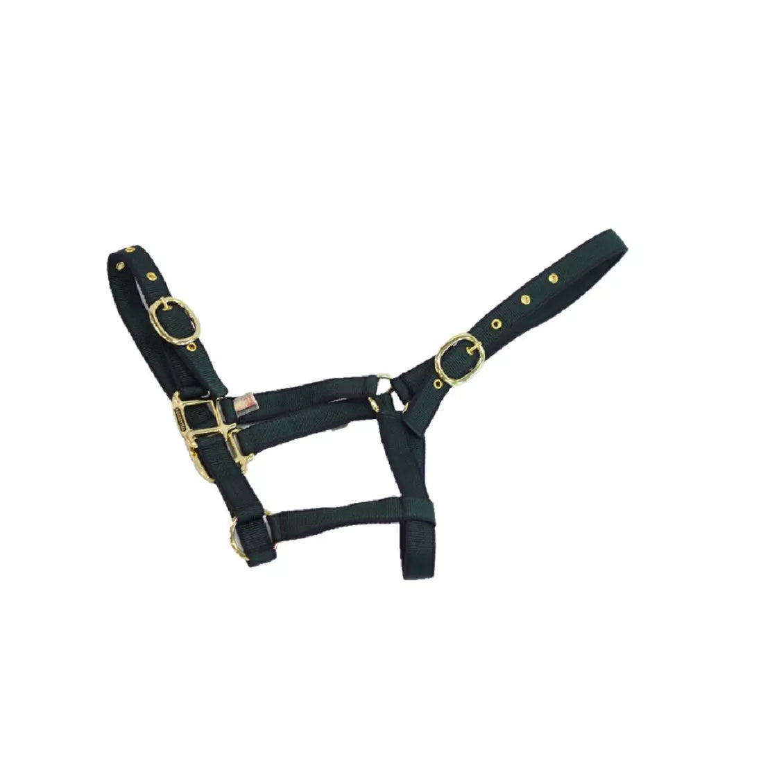 Mackey Equisential Nylon Headcollar