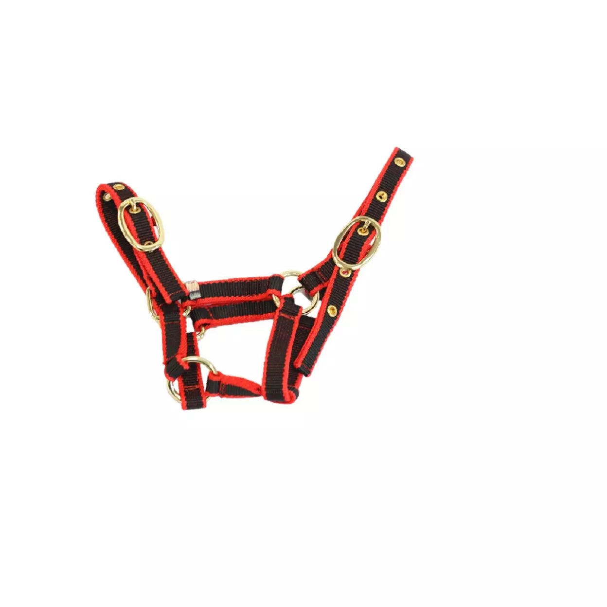 Mackey Equisential Nylon Headcollar