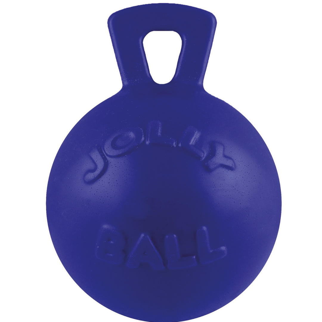 Jolly Pets Tug-n-Toss Jolly Ball