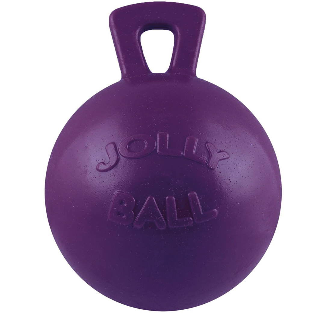 Jolly Pets Tug-n-Toss Jolly Ball