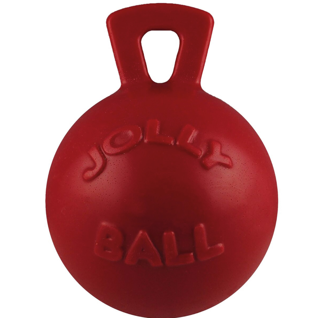 Jolly Pets Tug-n-Toss Jolly Ball