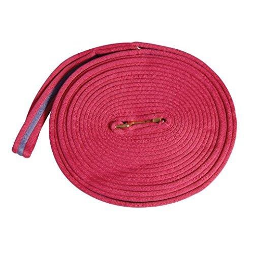 Kincade Two Tone Padded Lunging Rein