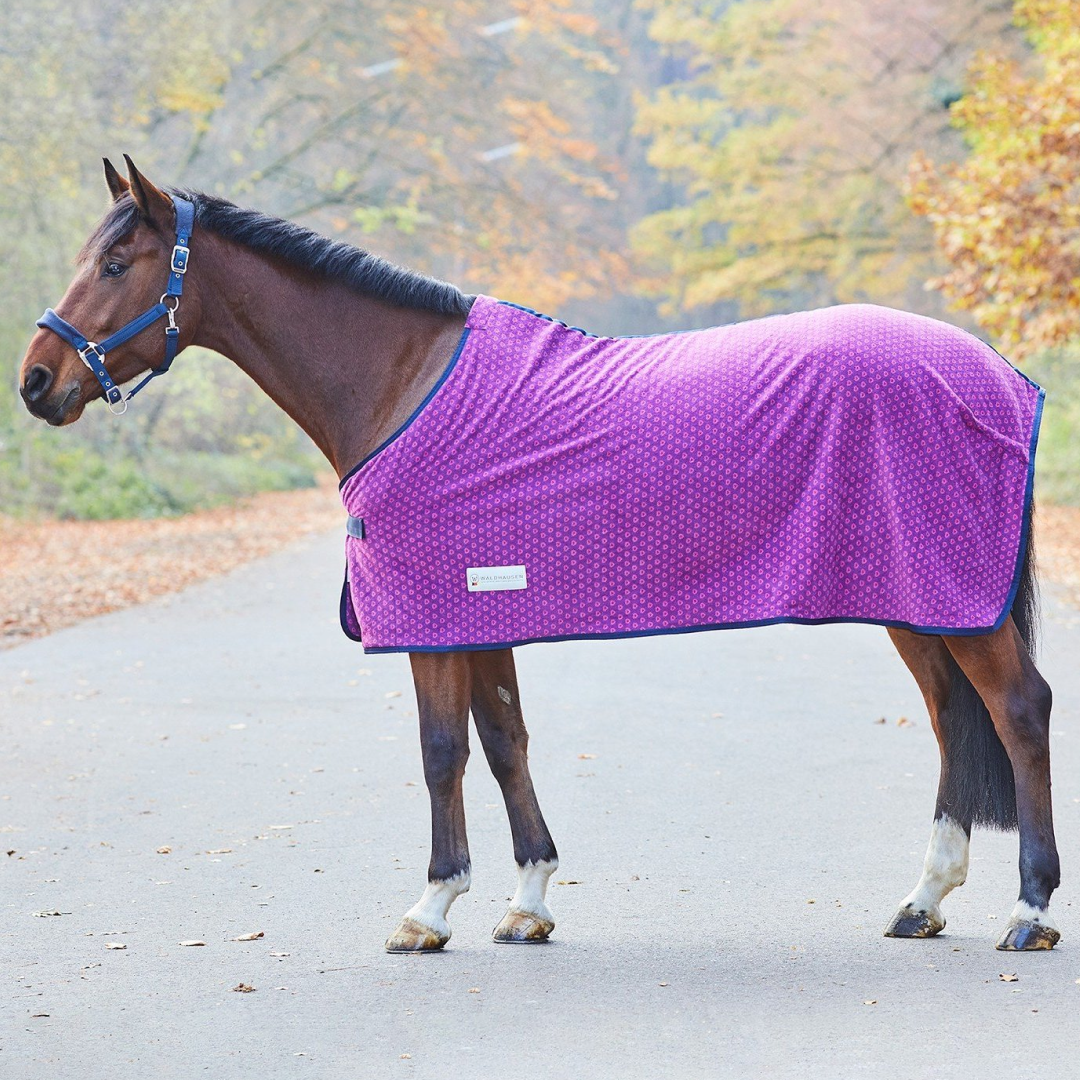 Waldhausen Unicorn Hearts Fleece Rug