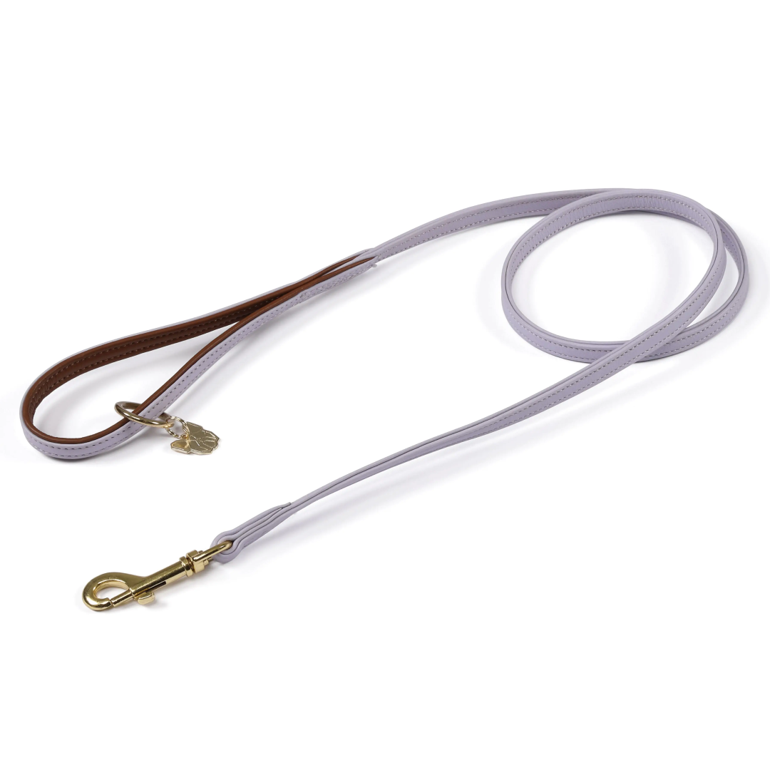 Shires Digby & Fox Padded Leather Dog Lead