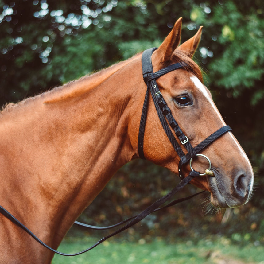 Mackey Equisential Nylon Rubber Grip Reins