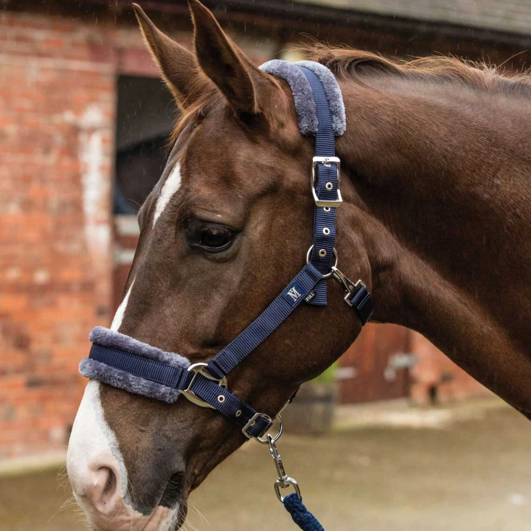 Mark Todd Fleece Lined Headcollar with Leadrope