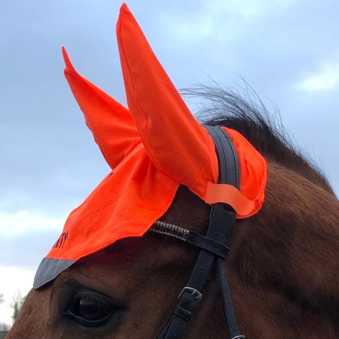 Equisafety Charlotte Dujardin Mesh Ears
