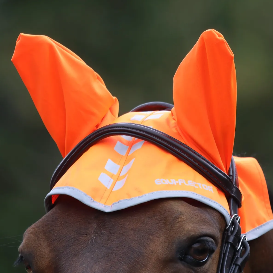 Shires EQUI-FLECTOR Fly Veil