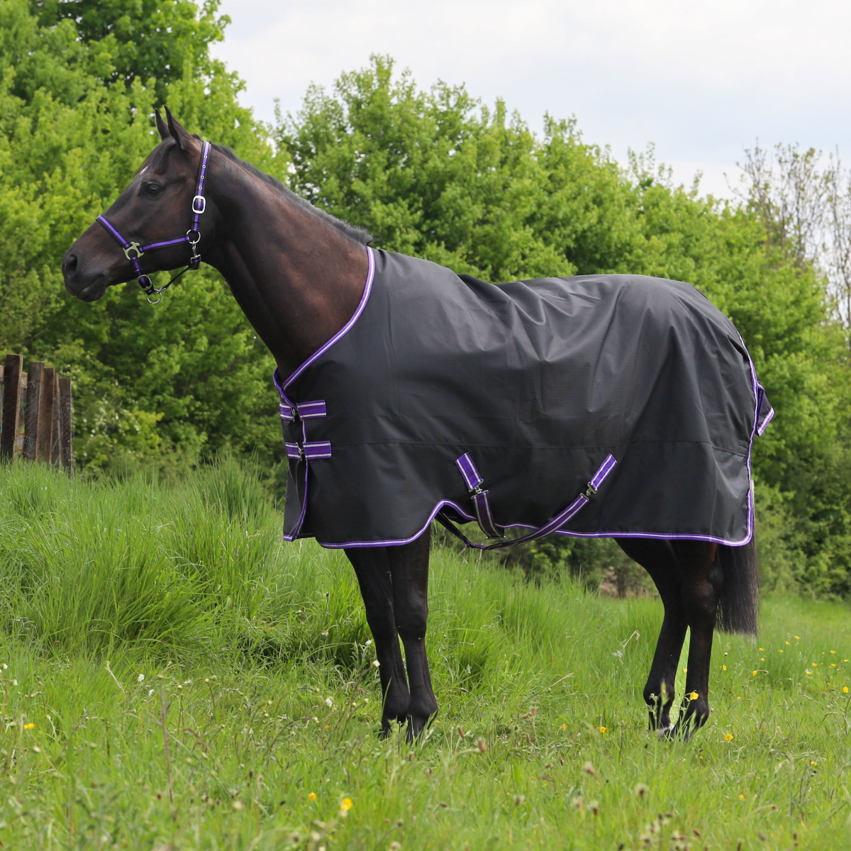 GS Equestrian 600D Waterproof Turnout Rug 0g