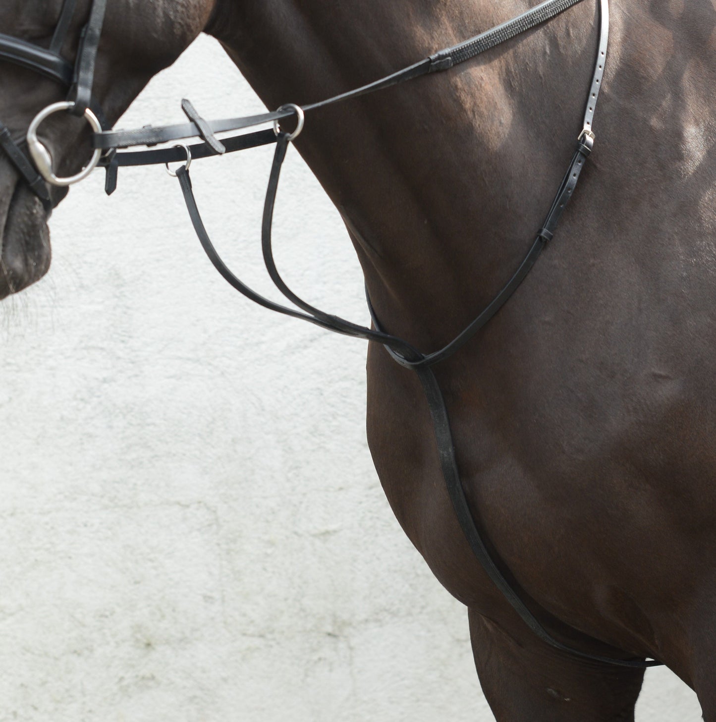 Mackey Equisential Running Martingale