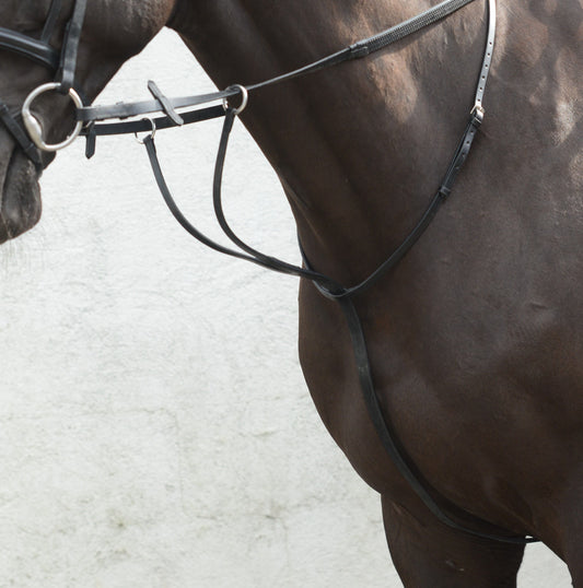 Mackey Equisential Running Martingale
