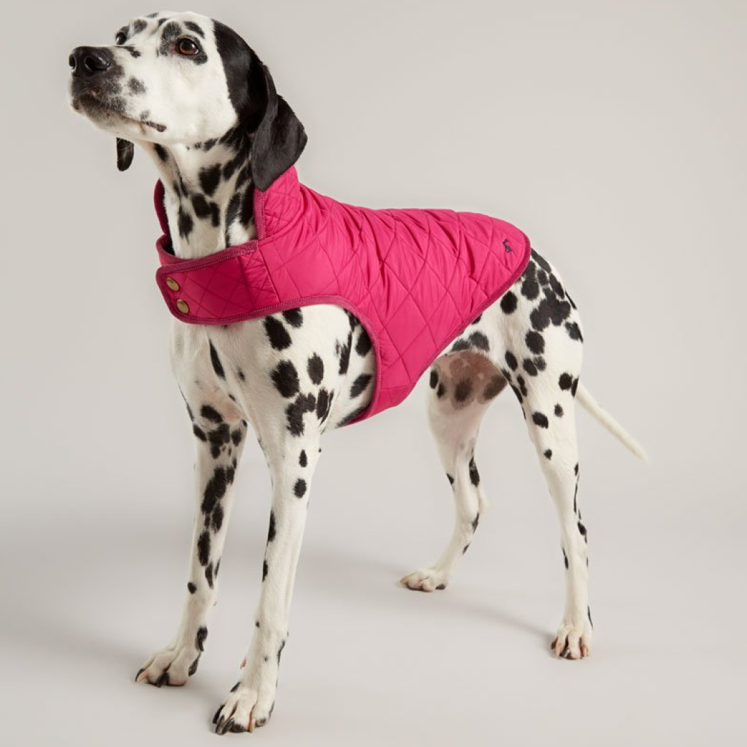 Joules Quilted Dog Coat