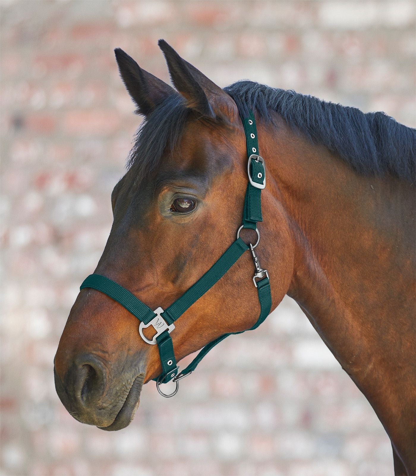 Waldhausen Gloomy Halter
