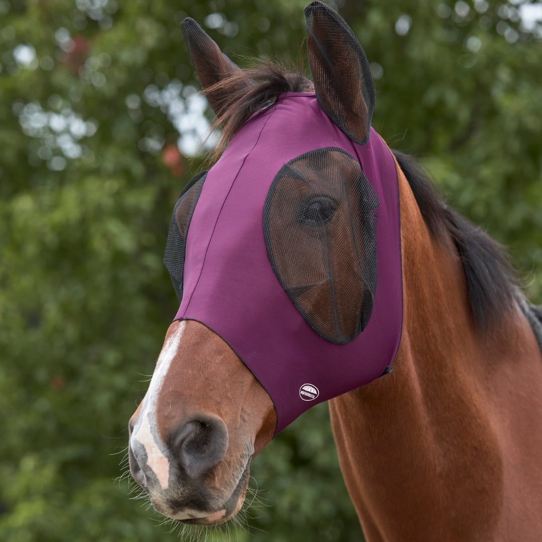 Weatherbeeta Deluxe Stretch Bug Eye Saver With Ears