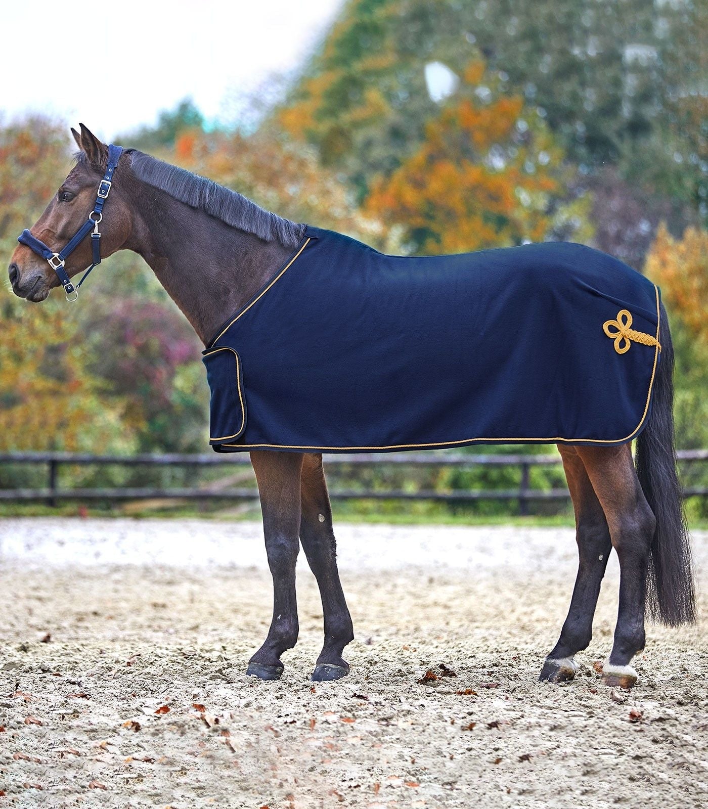 Waldhausen Fleece Sponsor Rug