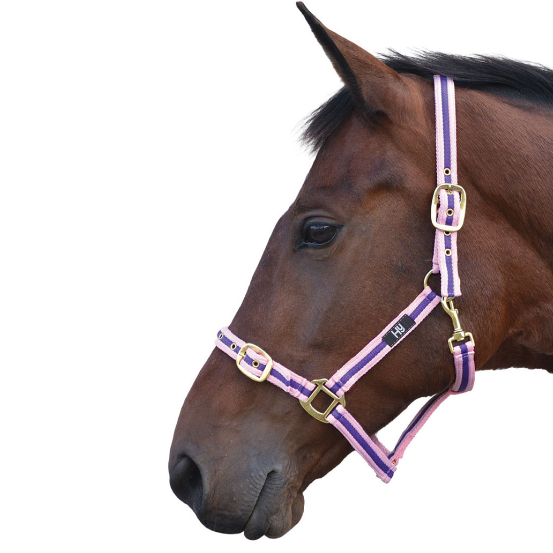 Hy Soft Webbing Head Collar