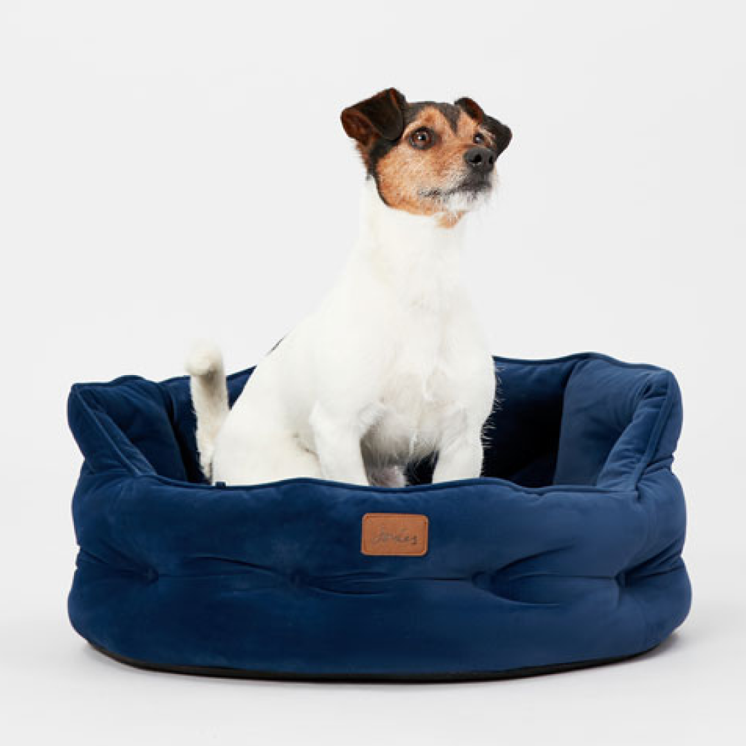 Joules Chesterfield Pet Bed
