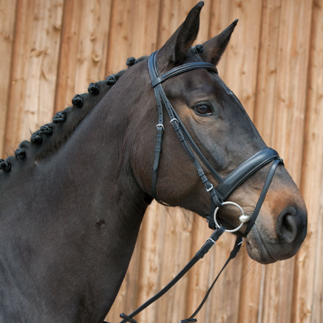 Kieffer Ergonomic Line III Snaffle Bridle