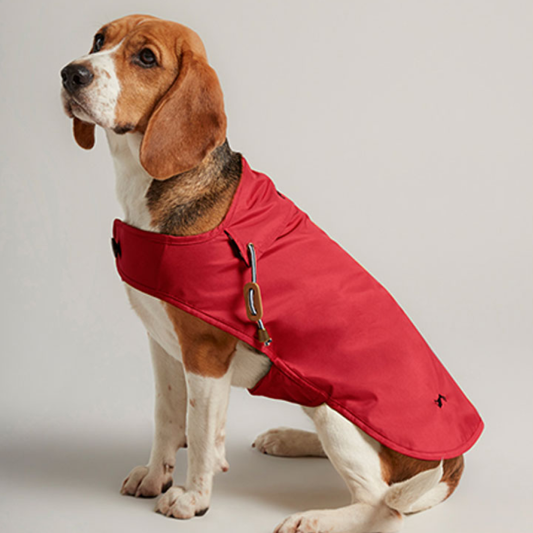 Joules Raincoat