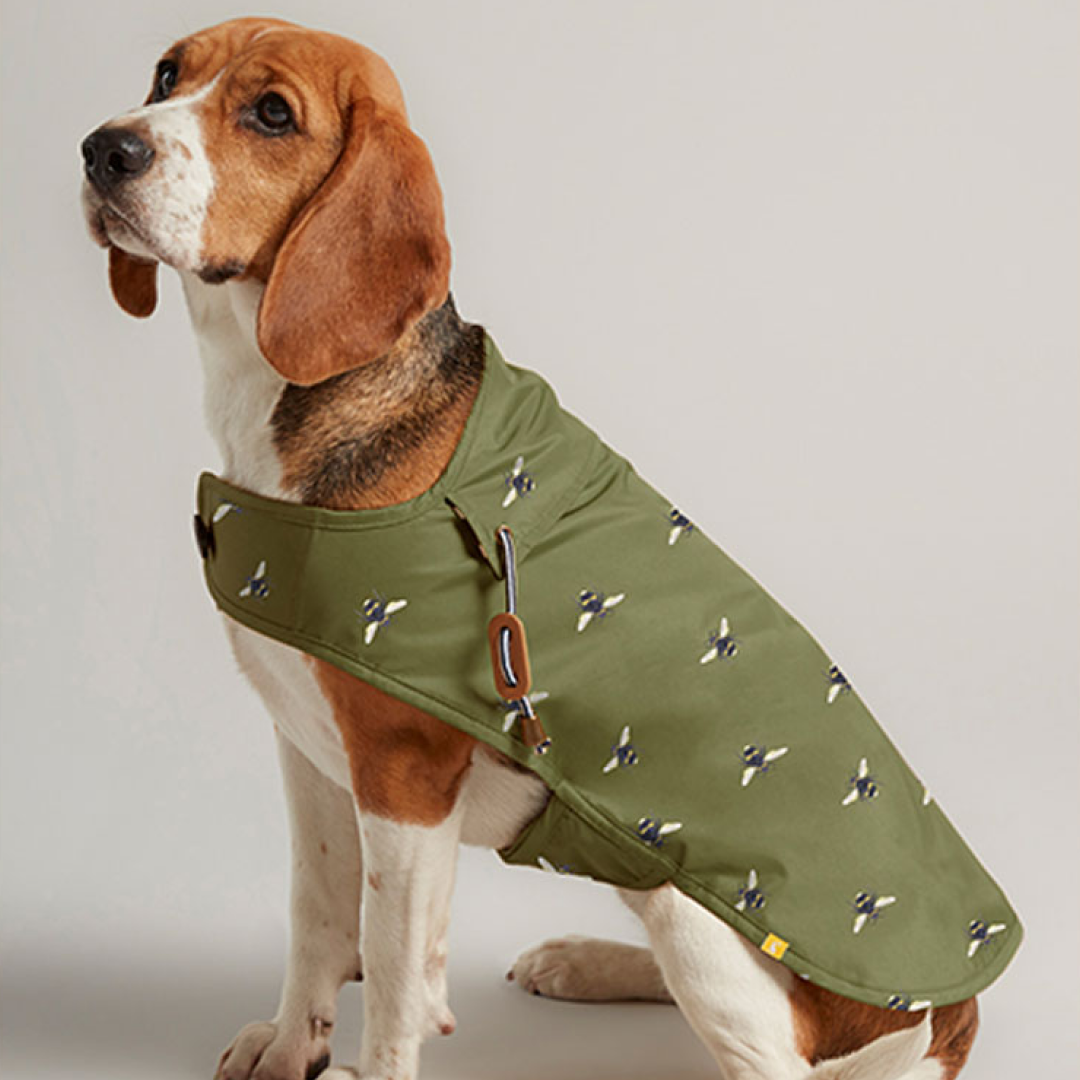 Joules Raincoat