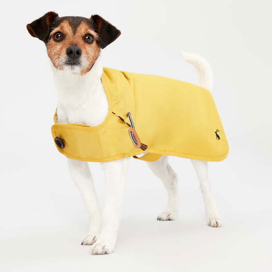 Joules Raincoat
