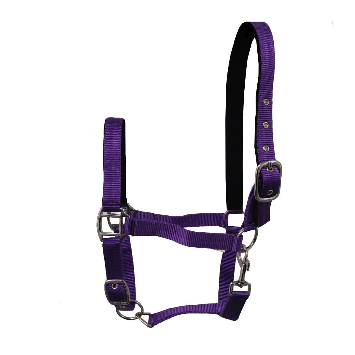 GS Equestrian Padded Head Collar
